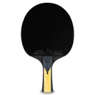 54195_JOOLA_CarbonPro_03_web_373c7e57-3e03-4460-8cc1-ff51c3980fd9