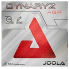 70511_JOOLA_Dynaryz-AGR_06_web
